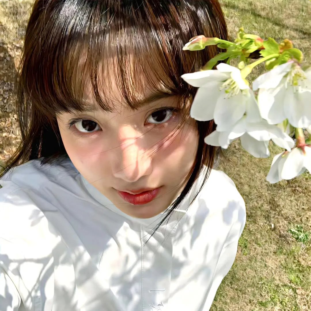 雪花莲节